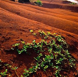《如龙》卡拉OK小游戏来自导演的热爱 歌单有近8000首