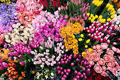 别催了！R星再次禁止直播平台提及“GTA6”